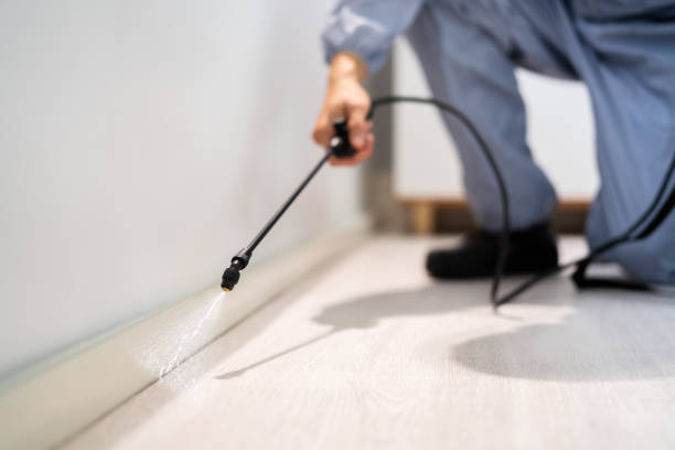 Licensed Pest Control service in Parkside, PA - Show Me Pest Control