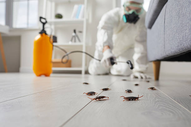 Post-Treatment Bed Bug Interceptor Monitoring in Parkside