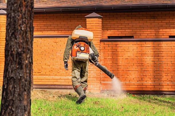 Bed Bug Clearance Verification and Documentation in Parkside